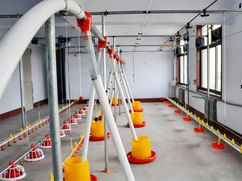 Skruv-typ Automated Material Production Line